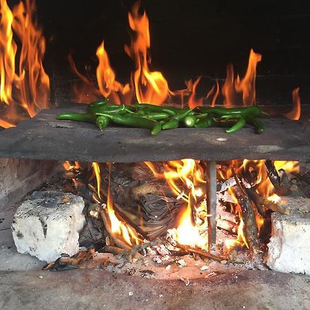 Luylyana Guesthouse ريباريكا المظهر الخارجي الصورة