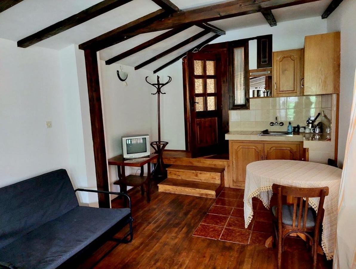 Luylyana Guesthouse ريباريكا المظهر الخارجي الصورة