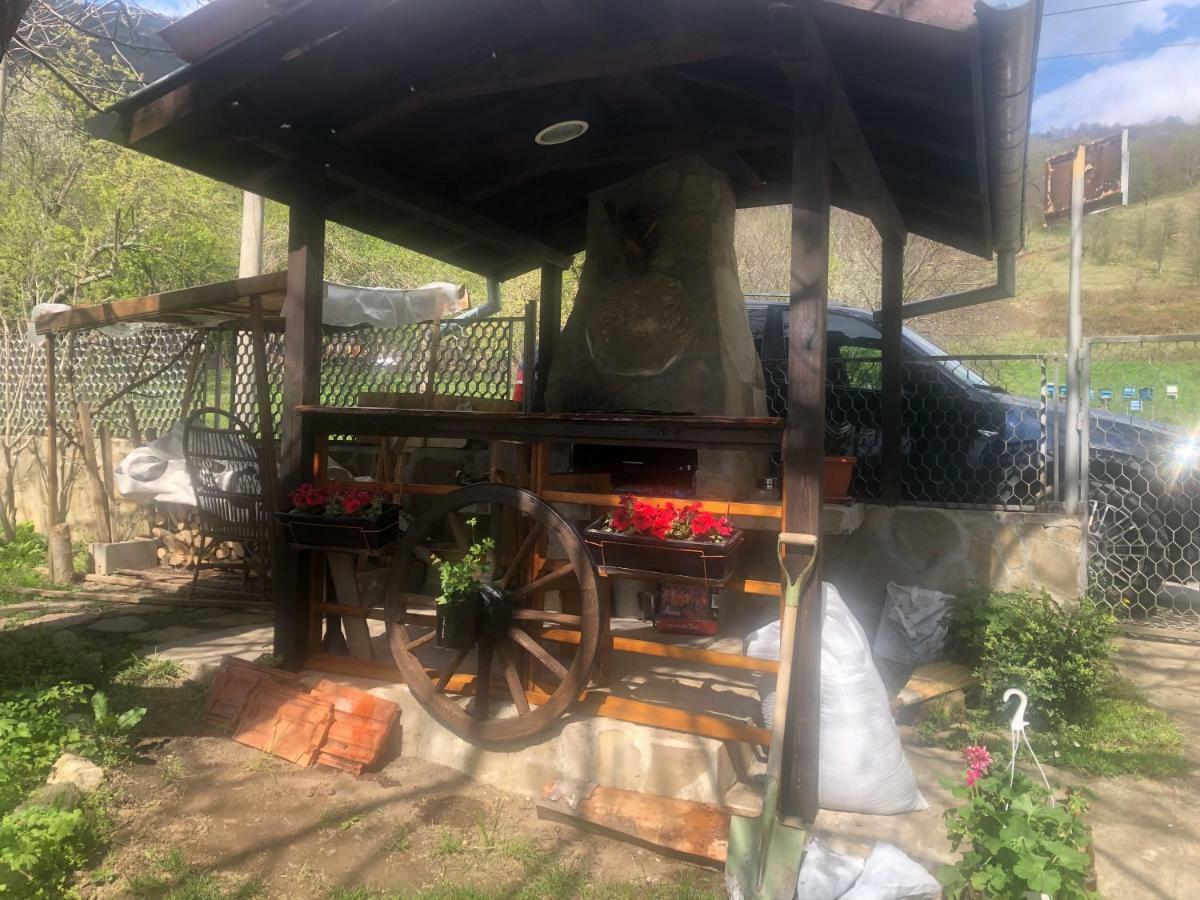 Luylyana Guesthouse ريباريكا المظهر الخارجي الصورة
