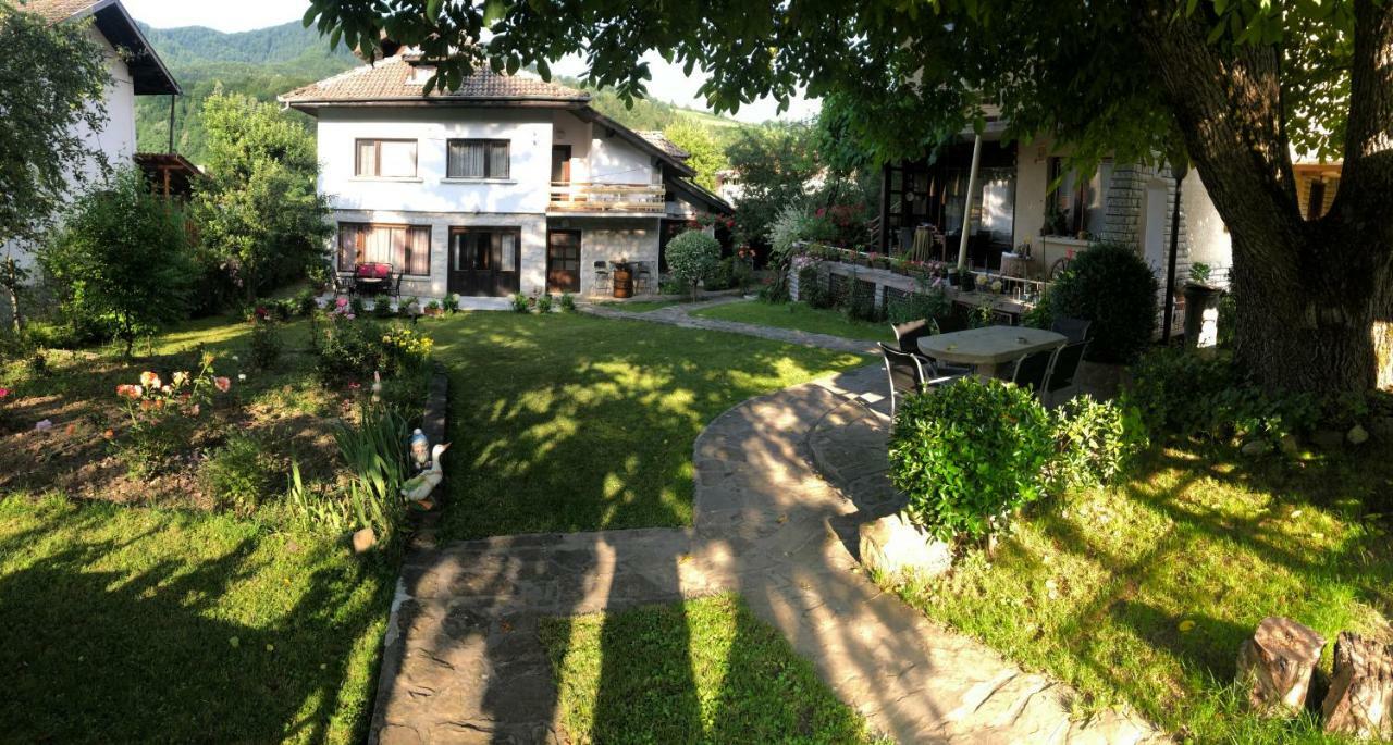 Luylyana Guesthouse ريباريكا المظهر الخارجي الصورة