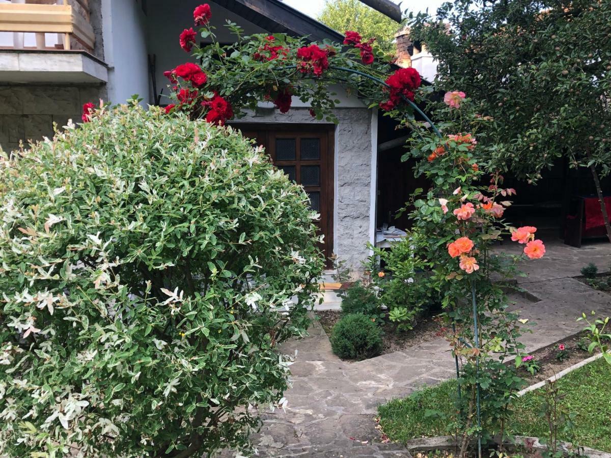 Luylyana Guesthouse ريباريكا المظهر الخارجي الصورة