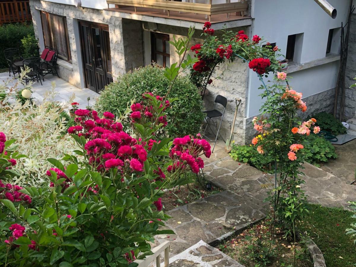 Luylyana Guesthouse ريباريكا المظهر الخارجي الصورة