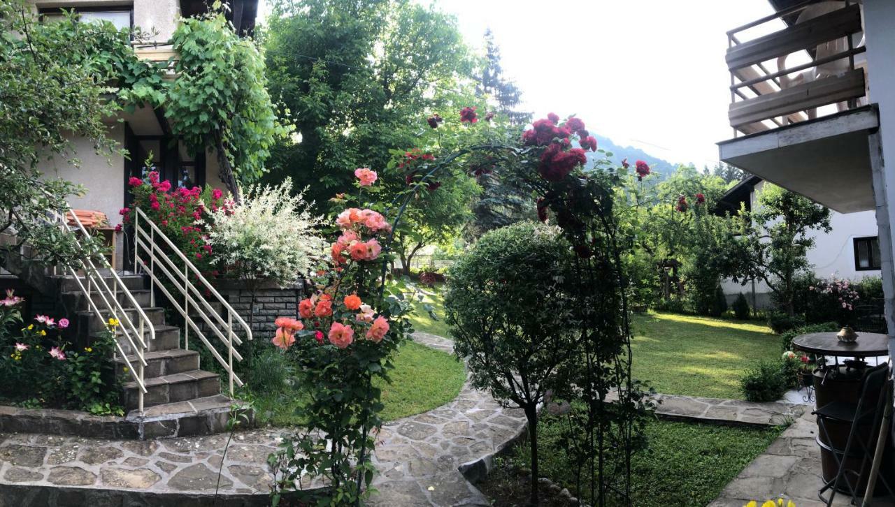 Luylyana Guesthouse ريباريكا المظهر الخارجي الصورة