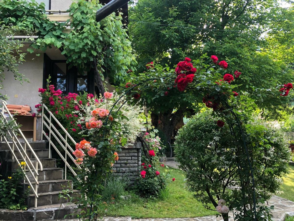 Luylyana Guesthouse ريباريكا المظهر الخارجي الصورة