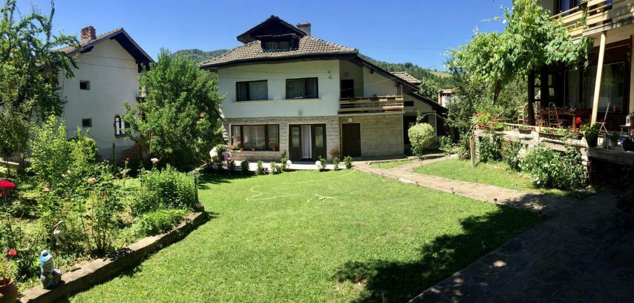 Luylyana Guesthouse ريباريكا المظهر الخارجي الصورة